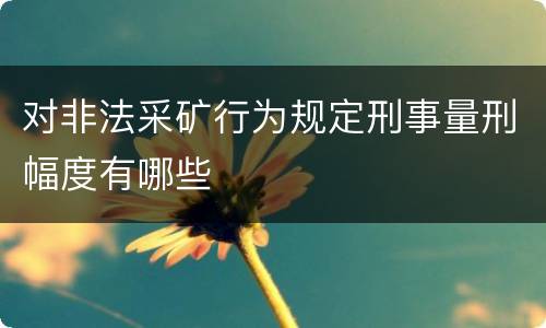 对非法采矿行为规定刑事量刑幅度有哪些