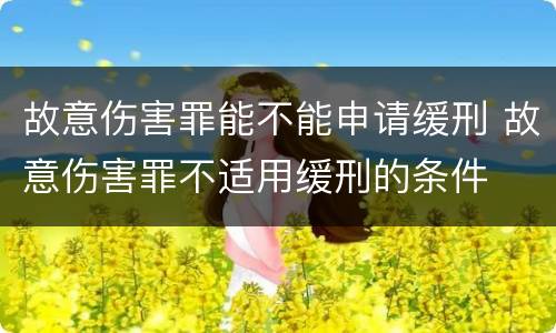 故意伤害罪能不能申请缓刑 故意伤害罪不适用缓刑的条件
