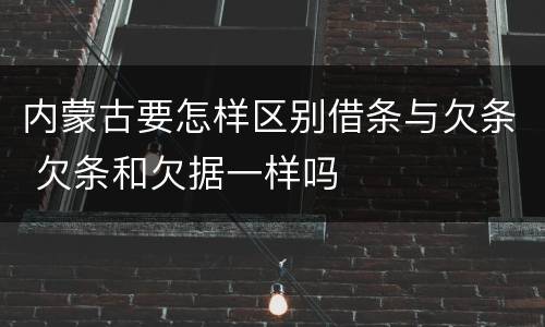 内蒙古要怎样区别借条与欠条 欠条和欠据一样吗