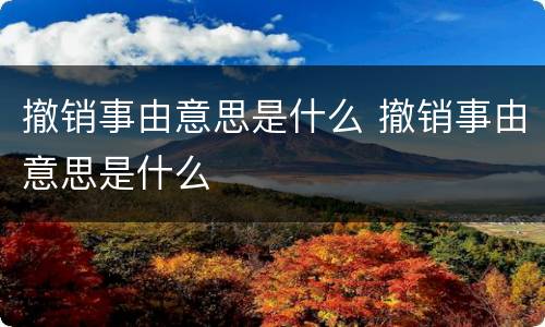 撤销事由意思是什么 撤销事由意思是什么