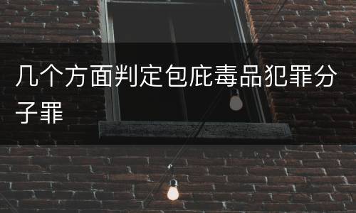 几个方面判定包庇毒品犯罪分子罪