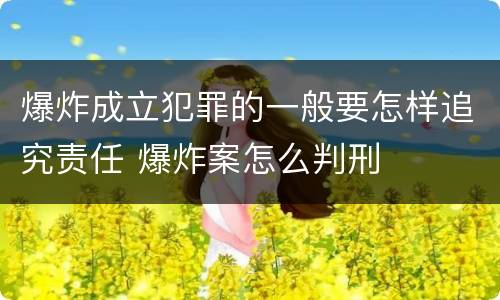 爆炸成立犯罪的一般要怎样追究责任 爆炸案怎么判刑