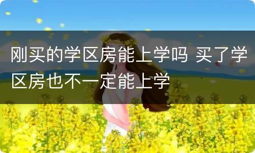 刚买的学区房能上学吗 买了学区房也不一定能上学