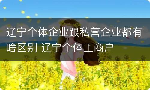 辽宁个体企业跟私营企业都有啥区别 辽宁个体工商户