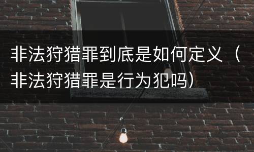 非法狩猎罪到底是如何定义（非法狩猎罪是行为犯吗）