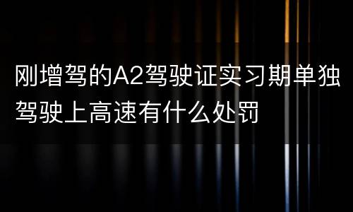 刚增驾的A2驾驶证实习期单独驾驶上高速有什么处罚