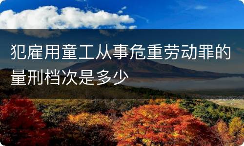 犯雇用童工从事危重劳动罪的量刑档次是多少