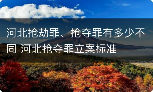 河北抢劫罪、抢夺罪有多少不同 河北抢夺罪立案标准