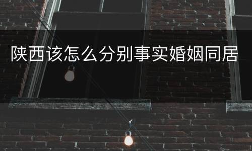 陕西该怎么分别事实婚姻同居