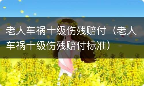 老人车祸十级伤残赔付（老人车祸十级伤残赔付标准）