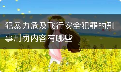 犯暴力危及飞行安全犯罪的刑事刑罚内容有哪些