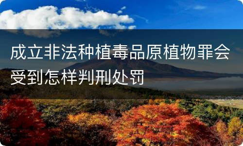 成立非法种植毒品原植物罪会受到怎样判刑处罚