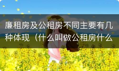 廉租房及公租房不同主要有几种体现（什么叫做公租房什么叫做廉租房）