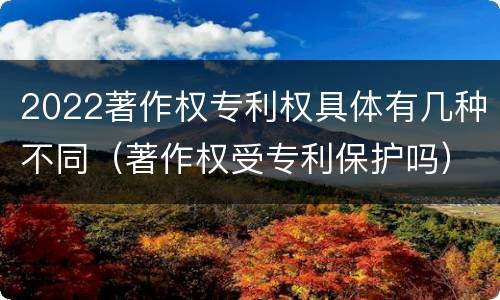 2022著作权专利权具体有几种不同（著作权受专利保护吗）