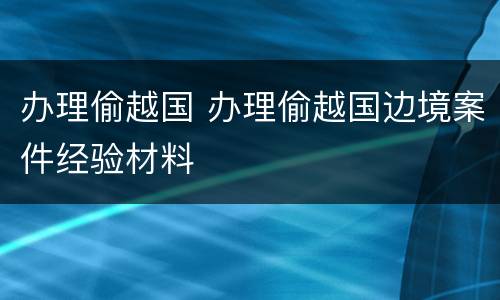 办理偷越国 办理偷越国边境案件经验材料