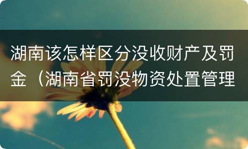湖南该怎样区分没收财产及罚金（湖南省罚没物资处置管理办法）