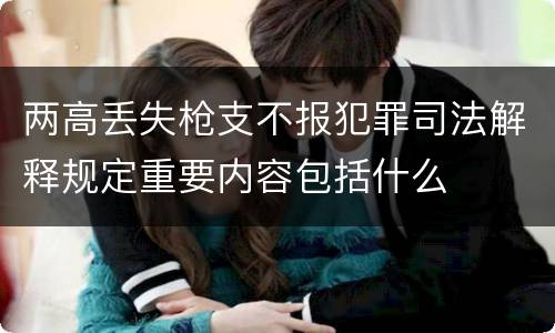 两高丢失枪支不报犯罪司法解释规定重要内容包括什么