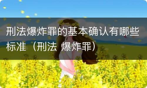 刑法爆炸罪的基本确认有哪些标准（刑法 爆炸罪）