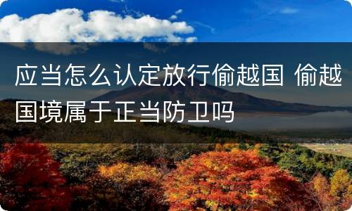 应当怎么认定放行偷越国 偷越国境属于正当防卫吗