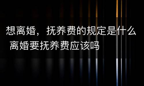 想离婚，抚养费的规定是什么 离婚要抚养费应该吗