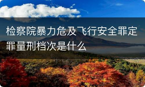 检察院暴力危及飞行安全罪定罪量刑档次是什么