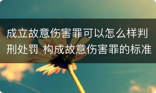 成立故意伤害罪可以怎么样判刑处罚 构成故意伤害罪的标准