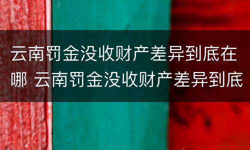 云南罚金没收财产差异到底在哪 云南罚金没收财产差异到底在哪查