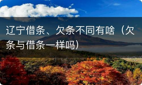 辽宁借条、欠条不同有啥（欠条与借条一样吗）
