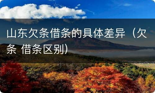 山东欠条借条的具体差异（欠条 借条区别）