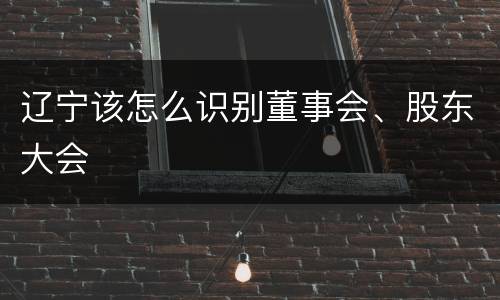 辽宁该怎么识别董事会、股东大会