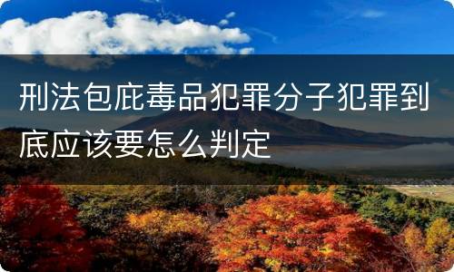 刑法包庇毒品犯罪分子犯罪到底应该要怎么判定