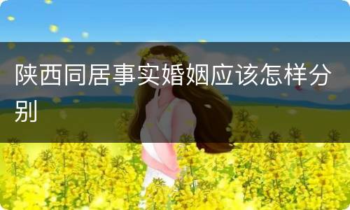 陕西同居事实婚姻应该怎样分别