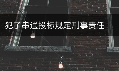 犯了串通投标规定刑事责任