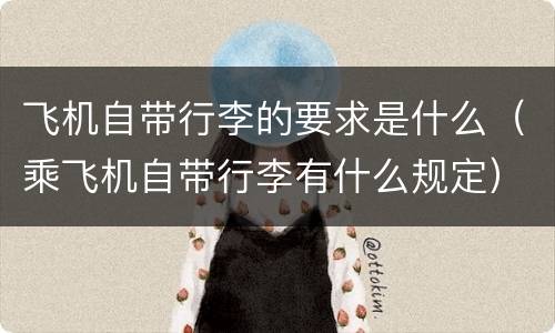 飞机自带行李的要求是什么（乘飞机自带行李有什么规定）