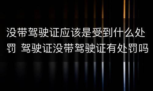 没带驾驶证应该是受到什么处罚 驾驶证没带驾驶证有处罚吗