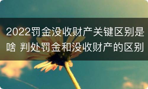 2022罚金没收财产关键区别是啥 判处罚金和没收财产的区别