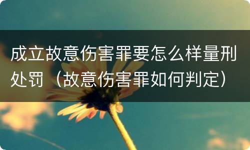 成立故意伤害罪要怎么样量刑处罚（故意伤害罪如何判定）