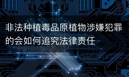 非法种植毒品原植物涉嫌犯罪的会如何追究法律责任