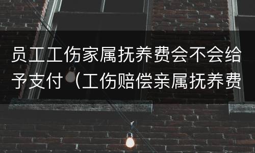 员工工伤家属抚养费会不会给予支付（工伤赔偿亲属抚养费）