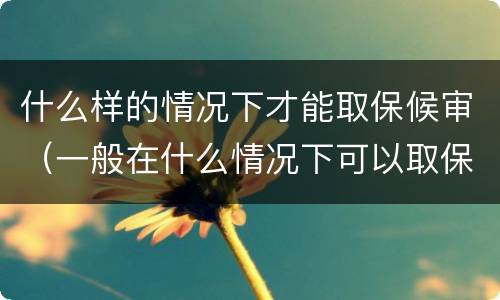 什么样的情况下才能取保候审（一般在什么情况下可以取保候审）