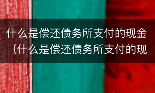 什么是偿还债务所支付的现金（什么是偿还债务所支付的现金价值）