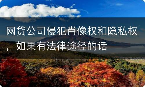 网贷公司侵犯肖像权和隐私权，如果有法律途径的话