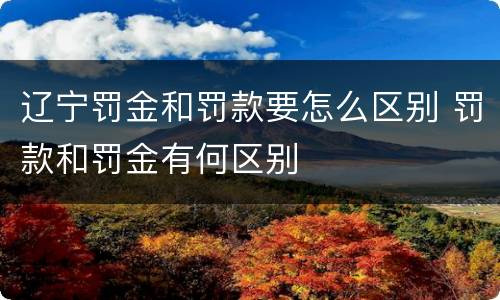 辽宁罚金和罚款要怎么区别 罚款和罚金有何区别