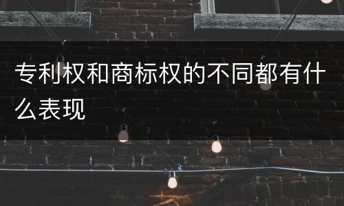 专利权和商标权的不同都有什么表现