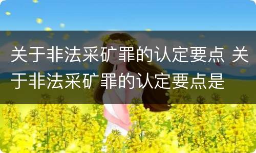 关于非法采矿罪的认定要点 关于非法采矿罪的认定要点是