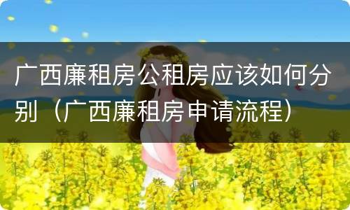 广西廉租房公租房应该如何分别（广西廉租房申请流程）
