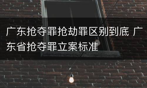 广东抢夺罪抢劫罪区别到底 广东省抢夺罪立案标准