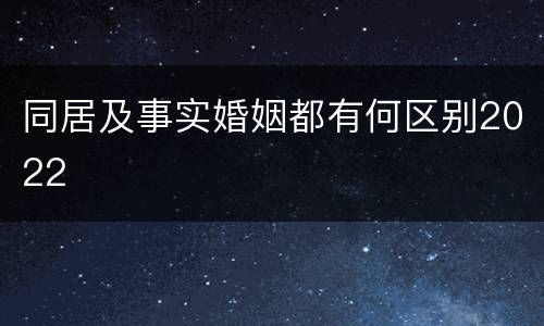 同居及事实婚姻都有何区别2022