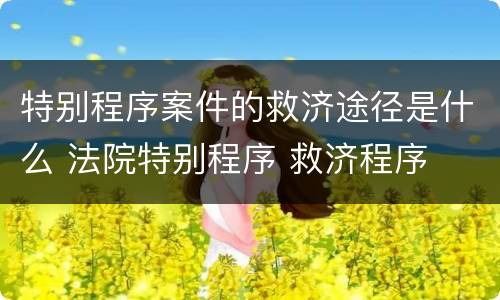 特别程序案件的救济途径是什么 法院特别程序 救济程序