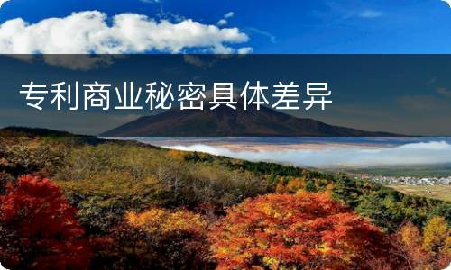 专利商业秘密具体差异